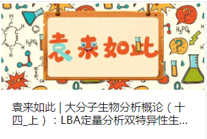 Ԭ | ۣʮ_ϣLBA˫ҩս