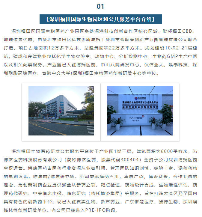 333���� - ��̬�ȵ������Ż�