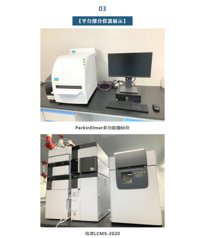 333���� - ��̬�ȵ������Ż�