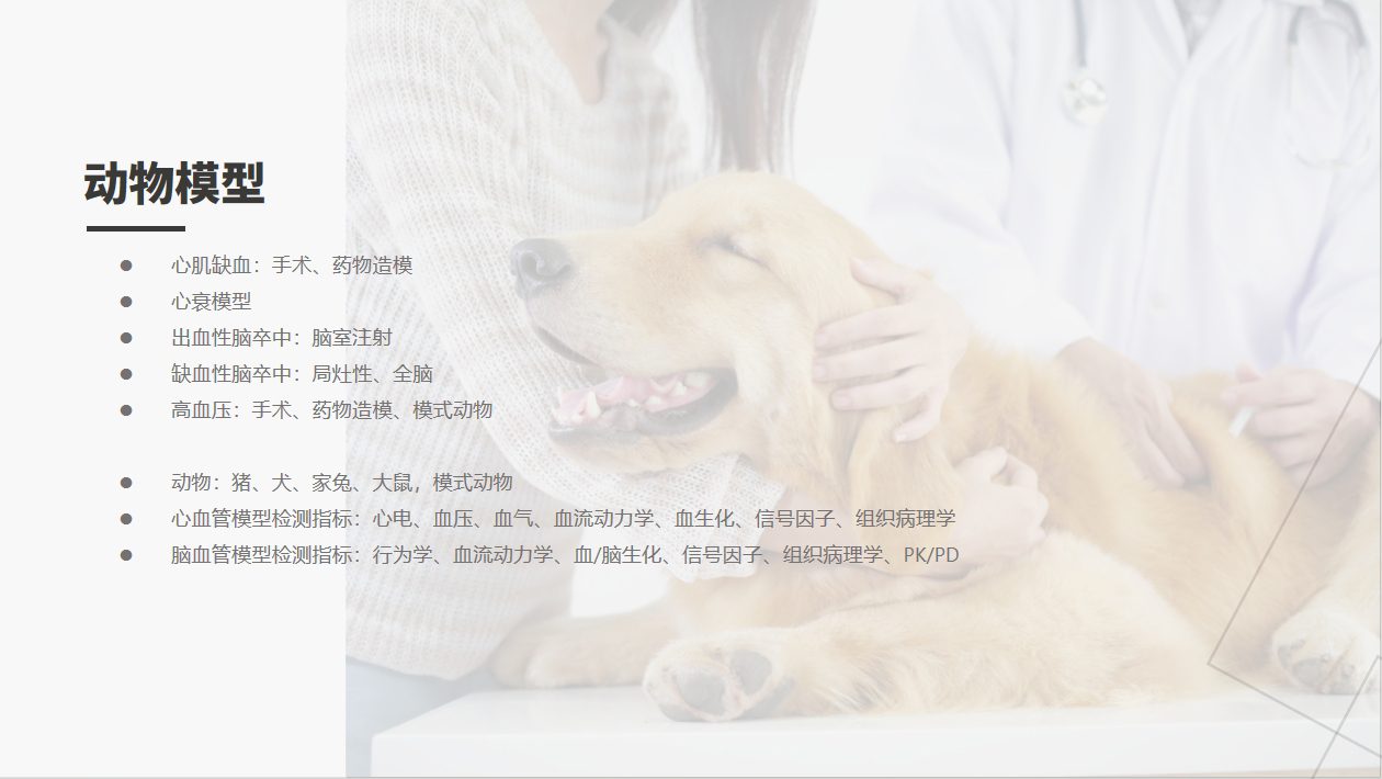 333���� - ��̬�ȵ������Ż�