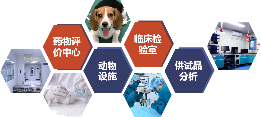 333ÌåÓý - ÓÐ̬¶ÈµÄÌåÓýÃÅ»§