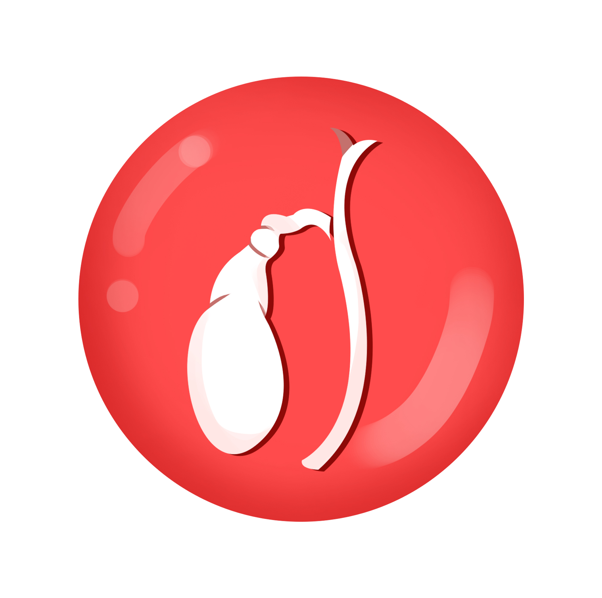 Ïõʯ¸Êµ¨¿ÅÁ£