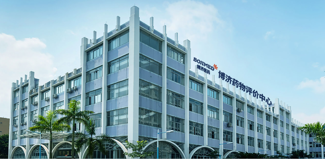 非临床评价服务